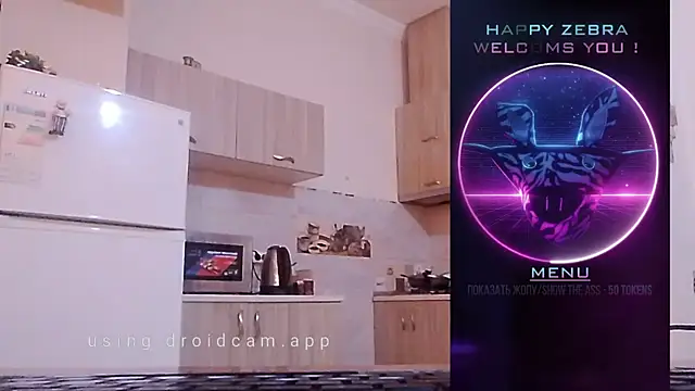 HappyZebra13 online show from 12-12-24, 09:08