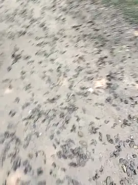 chootkapyasa007 online show from 10-22-25, 07:19