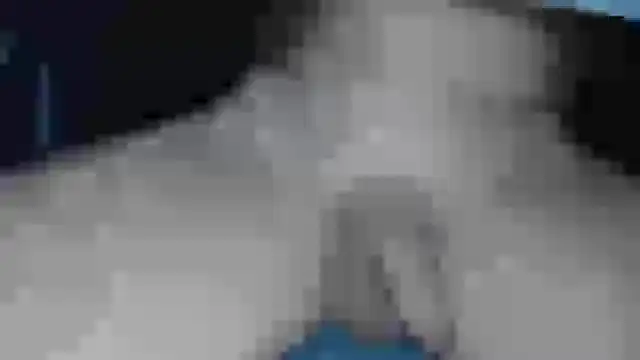 cs1512 online show from 02-13-25, 06:38