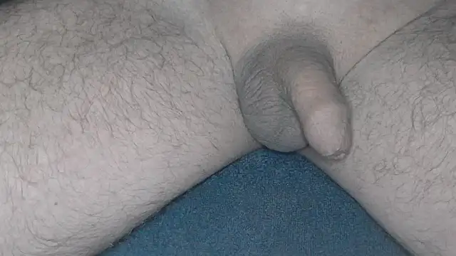 cs1512 online show from 02-26-25, 04:36