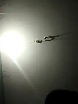 jaydev madhuri online show from 03-19-26, 07:45