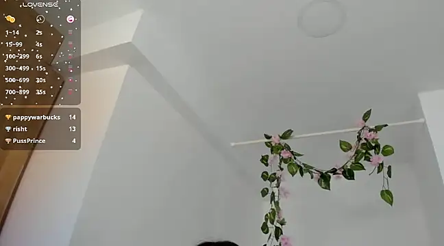 Snapshot of Ninna--1 chatting on 01-12-25, 06:49 Ninna--1 online show from 01-12-25, 06:49