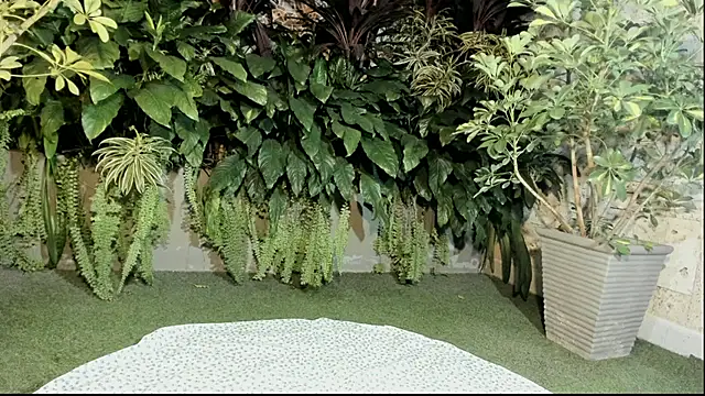 loladupont online show from 09-10-25, 03:06