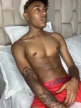 Boy cock18 online show from 01-26-25, 02:14