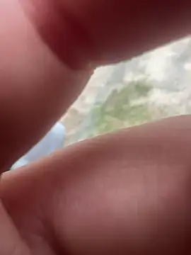 Casadadelicia26 online show from 03-19-26, 07:18