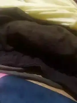 jarmesr7x online show from 01-27-25, 02:42