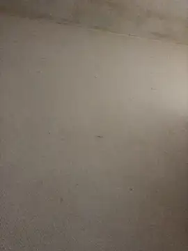 BELLAMORGANE1 online show from 11-02-25, 09:22