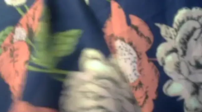 Naughty Nayra online show from 02-03-25, 03:31