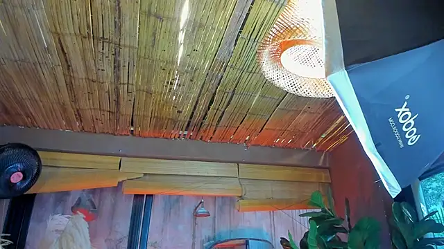 Snapshot of MarcoVitto chatting on 11-18-25, 07:29 MarcoVitto online show from 11-18-25, 07:29