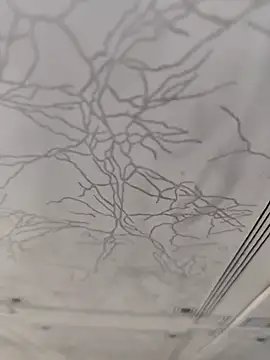 Snapshot of dreamers_dick chatting on 01-02-25, 04:13 dreamers dick online show from 01-02-25, 04:13