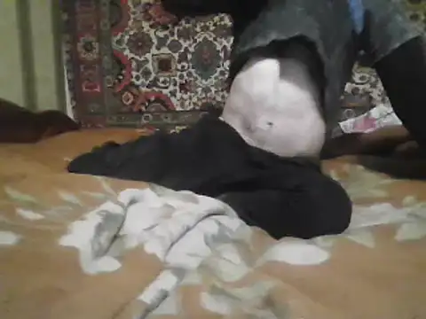 AlferezzSolvajo online show from 03-21-25, 05:34