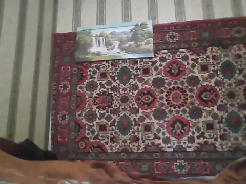 AlferezzSolvajo online show from 11-21-25, 12:15