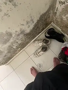 elflalope online show from 11-04-25, 08:52