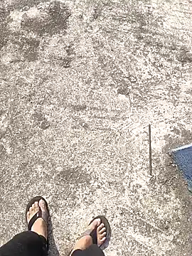 aryan 8051 online show from 01-12-25, 04:31