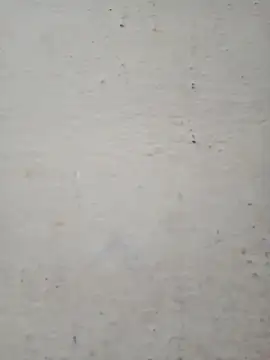 Snapshot of Pooja_cut chatting on 12-17-25, 02:28 Pooja cut online show from 12-17-25, 02:28