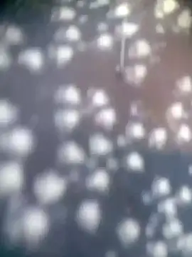 Amaya Bajwa online show from 11-15-25, 04:32