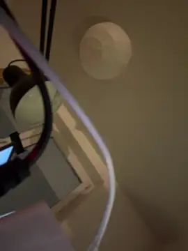 shiny bunnyyy online show from 01-21-25, 05:09