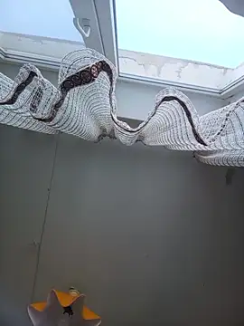 Lauren Amabel online show from 02-22-26, 08:24