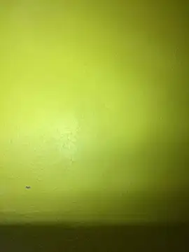 triplebeast online show from 02-02-25, 02:59