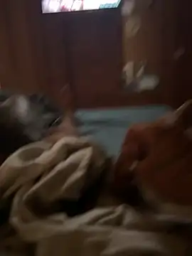 ferdi190 online show from 10-11-25, 10:58