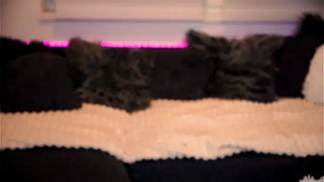 sweet rapunzell online show from 02-06-26, 12:59