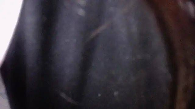 Snapshot of Sarita_v_ chatting on 02-06-25, 06:56 Sarita v online show from 02-06-25, 06:56