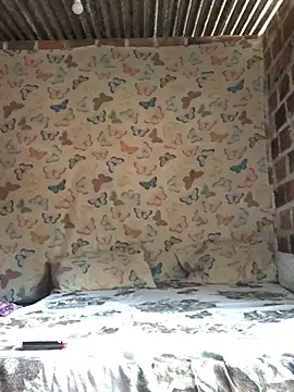 PretinhaOfc online show from 01-12-25, 07:10