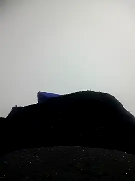 Snapshot of CHARLOTTE_1711 chatting on 10-11-25, 03:39 CHARLOTTE 1711 online show from 10-11-25, 03:39