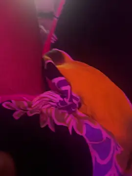 Snapshot of Lilymoonshow chatting on 03-17-25, 07:02 Lilymoonshow online show from 03-17-25, 07:02