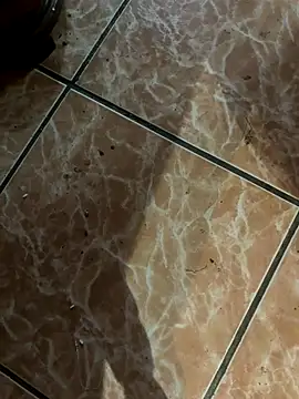 Snapshot of Lilymoonshow chatting on 09-18-25, 11:07 Lilymoonshow online show from 09-18-25, 11:07