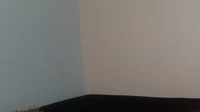 hairyncuteass online show from 02-13-25, 08:24