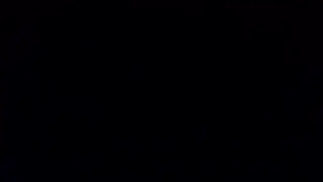 petina online show from 01-15-26, 06:33