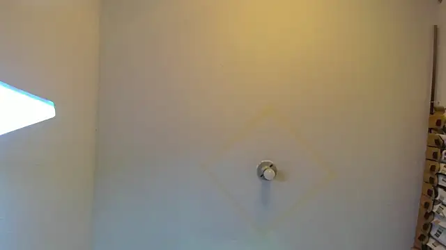 wandaliones online show from 02-28-25, 02:42