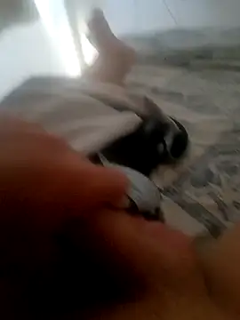 Snapshot of jacaranduba07 chatting on 01-14-25, 06:28 jacaranduba07 online show from 01-14-25, 06:28