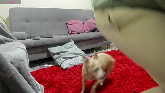 Salvatore costa online show from 09-19-25, 12:34