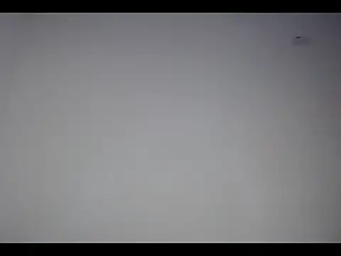 lana roman online show from 03-04-25, 12:22