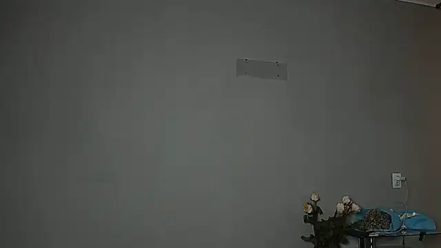 Snapshot of Eva_Gloryy chatting on 10-07-25, 11:18 Eva Gloryy online show from 10-07-25, 11:18