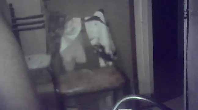 Snapshot of EstebanAkyLu chatting on 01-26-25, 07:53 EstebanAkyLu online show from 01-26-25, 07:53