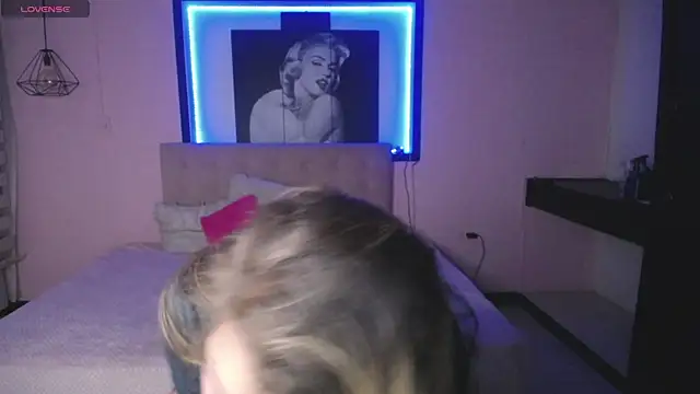 Kitten Cam online show from 11-14-25, 03:16