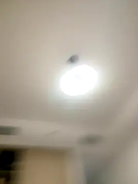 SexySophiaax online show from 10-20-25, 01:00