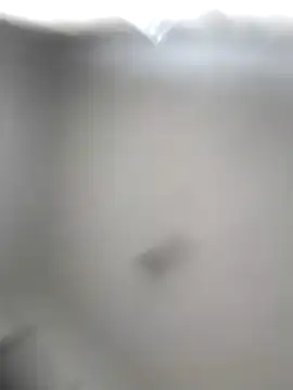 Snapshot of Godessofpleasxa chatting on 12-16-25, 08:19 Godessofpleasxa online show from 12-16-25, 08:19