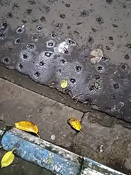 Raj41 online show from 09-20-25, 01:45