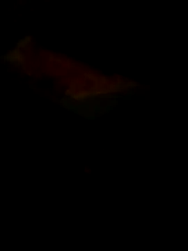 Raj41 online show from 03-30-26, 05:36