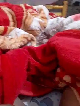 Snapshot of mhmia chatting on 02-06-25, 01:16 mhmia online show from 02-06-25, 01:16