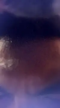 randit7 online show from 01-24-25, 12:52