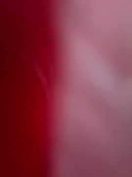 Snapshot of ALEXANDRA95 chatting on 02-11-25, 04:44 ALEXANDRA95 online show from 02-11-25, 04:44