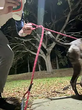 Snapshot of sexyhotstud12 chatting on 02-18-25, 04:26 sexyhotstud12 online show from 02-18-25, 04:26