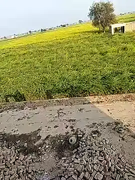 xmanrawan2 online show from 02-02-25, 10:57