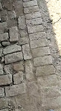 xmanrawan2 online show from 02-03-25, 07:18