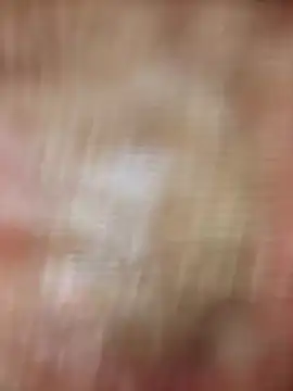 xmanrawan2 online show from 02-20-25, 08:39